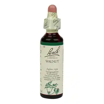Holland & Barrett Bach Bloesem Remedie Walnut (20ml) aanbieding