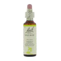 Holland & Barrett Bach Bloesem Remedie Wild Rose (20ml) aanbieding