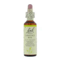 Holland & Barrett Bach Bloesem Remedie Chestnut Bud (20ml) aanbieding
