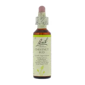Holland & Barrett Bach Bloesem Remedie Chestnut Bud (20ml) aanbieding