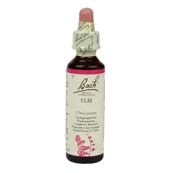 Holland & Barrett Bach Bloesem Remedie Elm (20ml) aanbieding