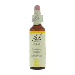 Holland & Barrett Bach Bloesem Remedie Gorse (20ml) aanbieding