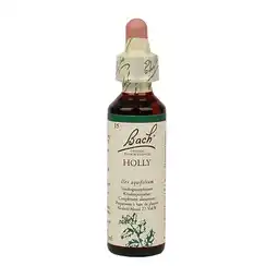Holland & Barrett Bach Bloesem Remedie Holly (20ml) aanbieding