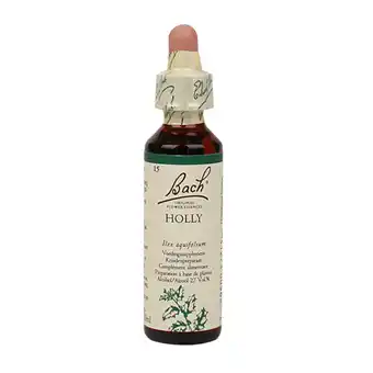 Holland & Barrett Bach Bloesem Remedie Holly (20ml) aanbieding