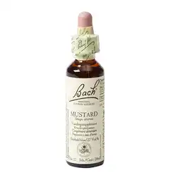 Holland & Barrett Bach Bloesem Remedie Mustard (20ml) aanbieding