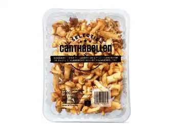 Lidl Cantharellen aanbieding