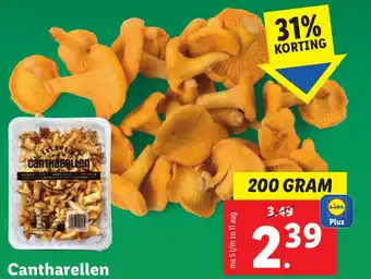 Lidl Cantharellen 200 gram aanbieding