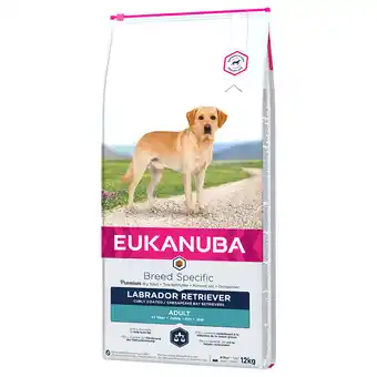 Zooplus 10% Korting! Eukanuba breed Honden droogvoer - 12 kg Adult Labrador Retriever aanbieding