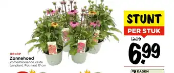 Vomar Voordeelmarkt Zonnehoed aanbieding