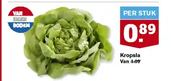 Hoogvliet Kropsla aanbieding