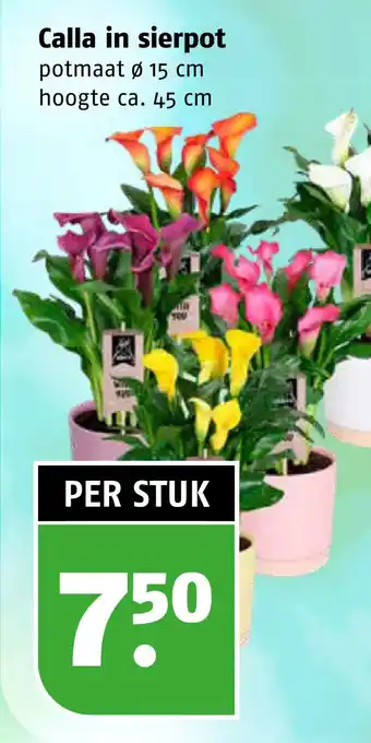 Poiesz Calla in sierpot aanbieding