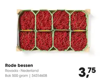 HANOS Rode bessen aanbieding
