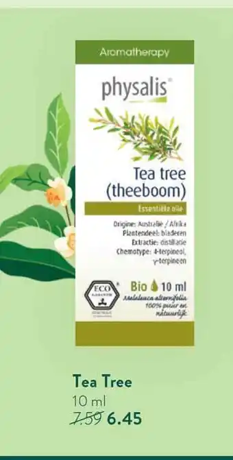 Holland & Barrett Physalis tea tree 10 ml aanbieding