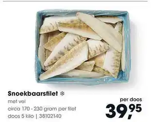 HANOS Snoekbaarsfilet met vel 5 kilo aanbieding