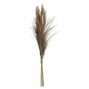 Kwantum Pluim Pampas Gras Bruin aanbieding