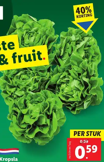 Lidl Kropsla aanbieding