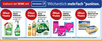 Rewe DE PAYBACK Wöchentlich mehrfach punkten. aanbieding