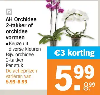 Albert Heijn AH Orchidee 2-takker of orchidee Vorm en aanbieding