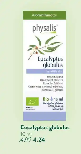 Holland & Barrett Physalis eucalyptus globulus 10 ml aanbieding