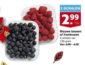 Hoogvliet Blauwe bessen of frambozen 125 gram aanbieding