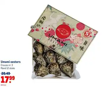Makro Umami oesters aanbieding