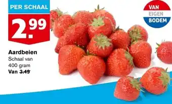 Hoogvliet Aardbeien aanbieding