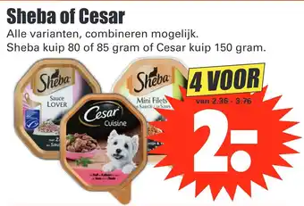 Dirk Sheba of Cesar 150g aanbieding