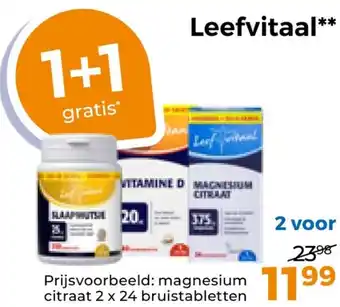 Trekpleister Leefvitaal aanbieding