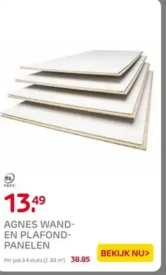 Praxis AGNES WAND- EN PLAFOND- PANELEN aanbieding