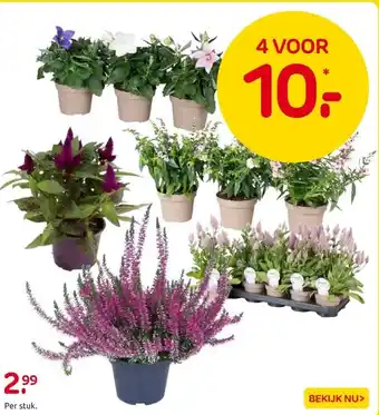 Praxis Per stuk. aanbieding