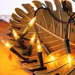 Amazon hellum 832013 Lichtsnoer voor binnen, 20 stuks, 2,85 m, mini-lichtketting met stekker, reservelampen, lichtketting, raamdecor aanbieding