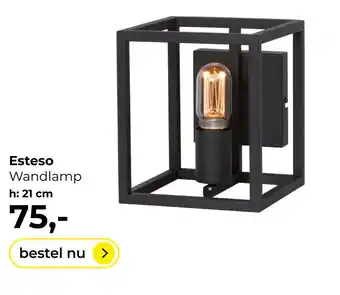 Lampidee Esteso - Wandlamp stalen frame 1 lichts zwart aanbieding