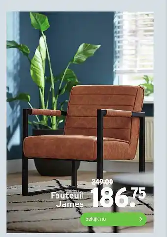 GAMMA Fauteuil James aanbieding