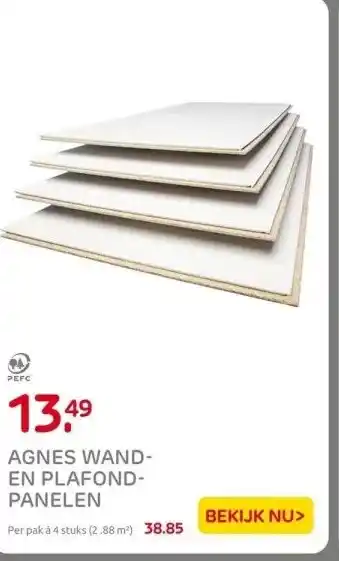 Praxis AGNES WAND- EN PLAFOND- PANELEN aanbieding