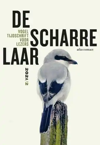 Libris Paperback - De scharrelaar - 2021/2 - Diverse auteurs aanbieding