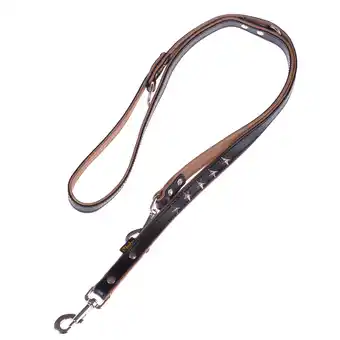 Zooplus Heim Set: Hondenriem Stars 2 m + Leren Halsband Stars Maat 60 aanbieding