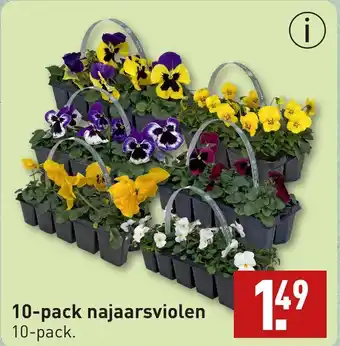 ALDI Najaarsviolen aanbieding