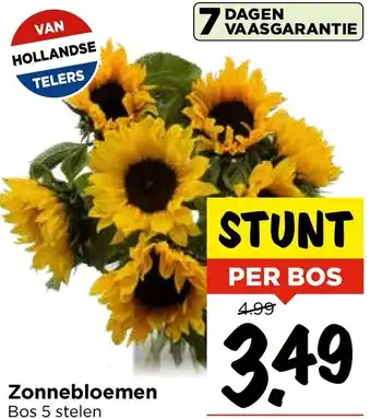 Vomar Voordeelmarkt Zonnebloemen aanbieding