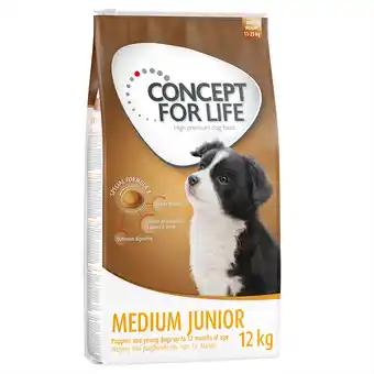 Zooplus Concept for Life Hondenvoer 10 + 2 kg gratis! - Medium Junior aanbieding