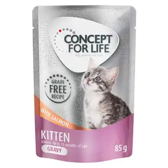 Zooplus Concept for Life graanvrij 12 x 85 g Kattenvoer voor een probeerprijs! - Kitten Zalm in Saus aanbieding