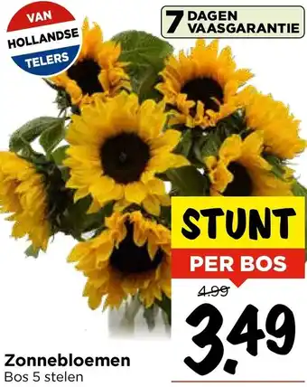 Vomar Voordeelmarkt Zonnebloemen aanbieding
