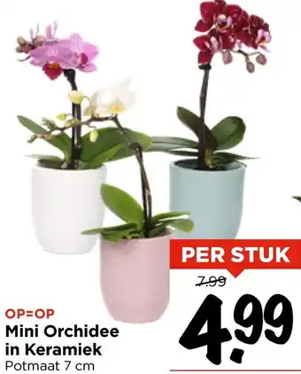 Vomar Voordeelmarkt Mini Orchidee in Keramiek aanbieding