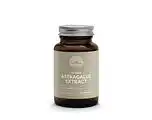 De Online Drogist Mattisson HealthStyle Astragalus Extract Capsules aanbieding