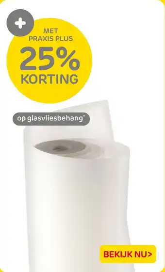 Praxis Glasvliesbehang aanbieding