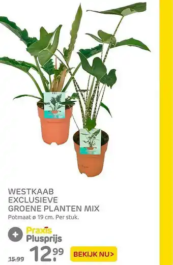 Praxis Westkaab Exclusieve Groene Planten Mix aanbieding