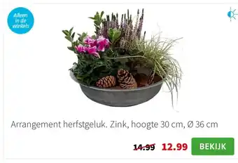 Intratuin Arrangement herfstgeluk. Zink, hoogte 30 cm, Ø 36 cm aanbieding