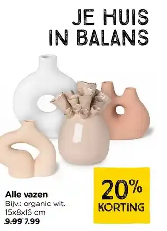 Xenos Alle vazen aanbieding