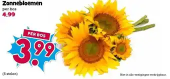 Boon`s Markt Zonnebloemen aanbieding