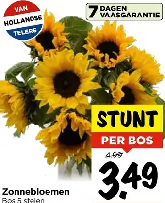 Vomar Voordeelmarkt Zonnebloemen aanbieding