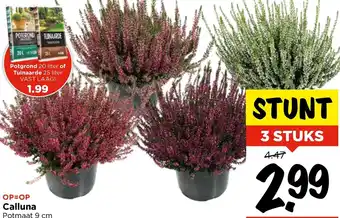 Vomar Voordeelmarkt Calluna aanbieding
